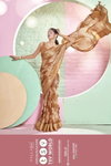 Jagjeeva By Vallabhi Wholesale Designer Brasso Sarees Suppliers In Mumbai